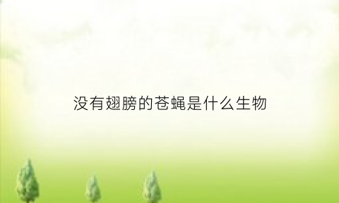 没有翅膀的苍蝇是什么生物(没有翅膀的苍蝇是什么物种)