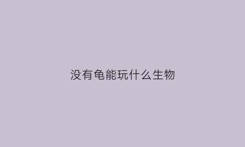 没有龟能玩什么生物(没有龟能玩什么生物游戏)