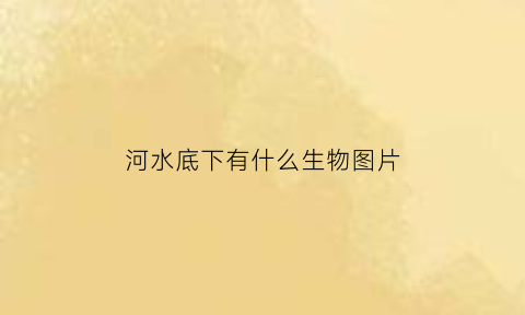 河水底下有什么生物图片(河底都有什么鱼)