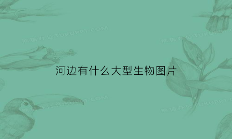 河边有什么大型生物图片(河边有什么大型生物图片和名称)