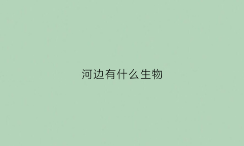 河边有什么生物(河边有什么生物吗)