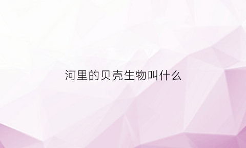 河里的贝壳生物叫什么(河里的贝壳叫什么能吃吗)