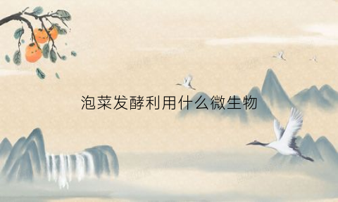 泡菜发酵利用什么微生物(泡菜发酵利用什么微生物生长)