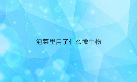 泡菜里用了什么微生物(泡菜中起作用的微生物是什么)