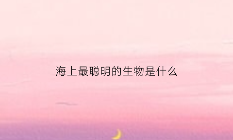 海上最聪明的生物是什么(海上最聪明的生物是什么动物)