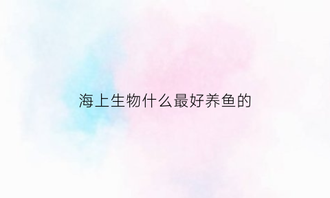 海上生物什么最好养鱼的