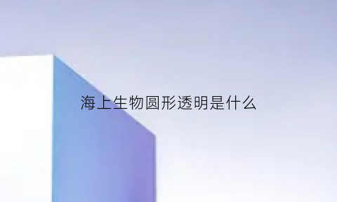海上生物圆形透明是什么(海上生物圆形透明是什么生物)