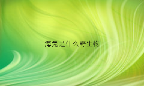 海兔是什么野生物(海兔是什么物种)