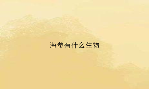 海参有什么生物(海参有什么生物特征)