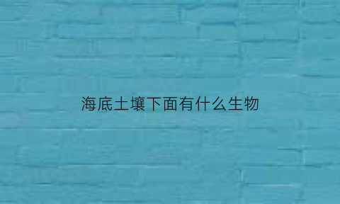 海底土壤下面有什么生物(海底土地上的颜色是什么颜色)