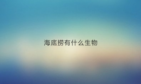 海底捞有什么生物(海底捞里有什么东西)