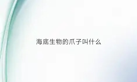 海底生物的爪子叫什么(海底生物的爪子叫什么名称)