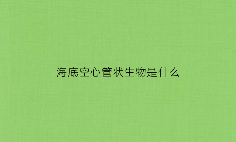 海底空心管状生物是什么(海底像管子一样的东西)
