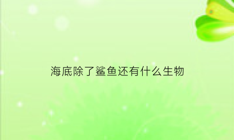 海底除了鲨鱼还有什么生物(海底世界除了鱼还有什么生物)