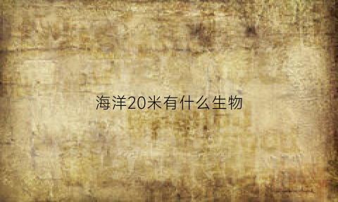 海洋20米有什么生物(海底20米有什么生物)