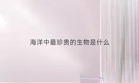 海洋中最珍贵的生物是什么(海洋中最珍贵的动物是什么)