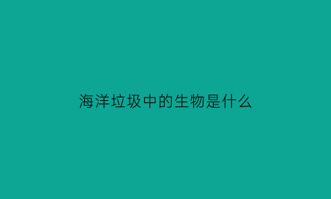 海洋垃圾中的生物是什么(海洋垃圾严重威胁海洋生物的生存其主要成分是什么)
