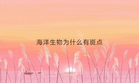 海洋生物为什么有斑点(海洋里为什么会有动物)