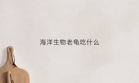 海洋生物老龟吃什么(海里的海龟吃什么)