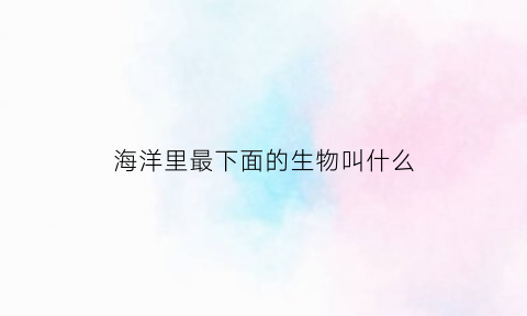 海洋里最下面的生物叫什么(海洋底下长什么样子)