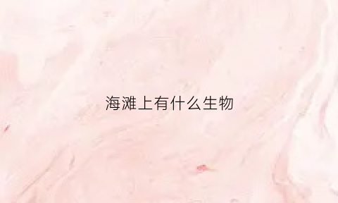 海滩上有什么生物(海滩上有哪些生物在干什么)