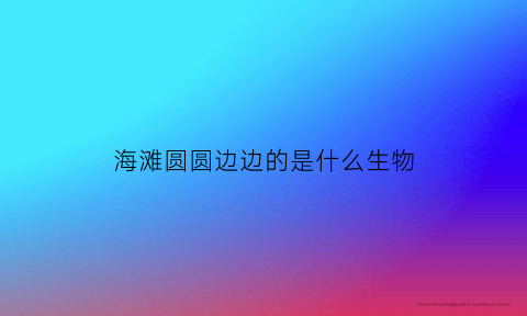 海滩圆圆边边的是什么生物(海滩上圆圆的一片是什么)