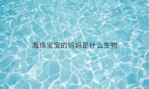 海绵宝宝的妈妈是什么生物(海绵宝宝的爸妈是什么生物)