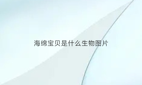 海绵宝贝是什么生物图片(海绵宝宝是属于什么动物)