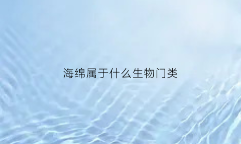 海绵属于什么生物门类(海绵属于生物吗)