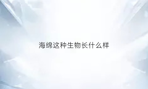 海绵这种生物长什么样(海绵这种生物长什么样子)