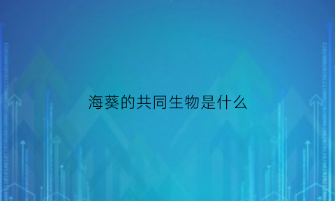 海葵的共同生物是什么