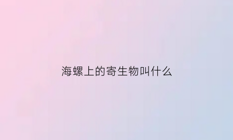 海螺上的寄生物叫什么