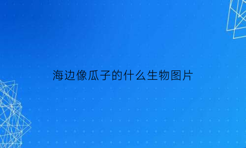 海边像瓜子的什么生物图片(海边像瓜子的什么生物图片)