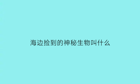 海边捡到的神秘生物叫什么(海边能捡到什么宝贝)
