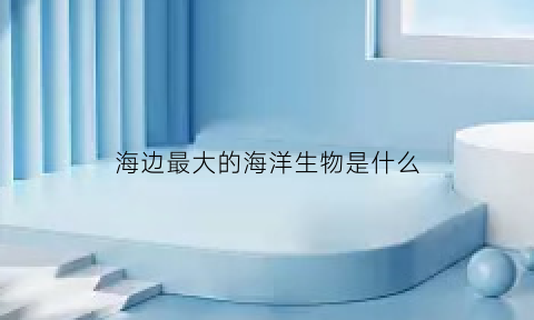 海边最大的海洋生物是什么(海边最大的海洋生物是什么鱼)
