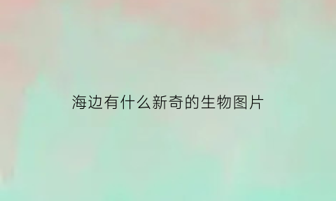 海边有什么新奇的生物图片(海边有什么事物)