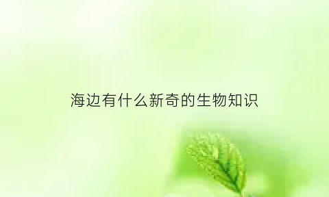 海边有什么新奇的生物知识