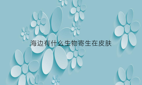 海边有什么生物寄生在皮肤(海边有什么海洋生物)