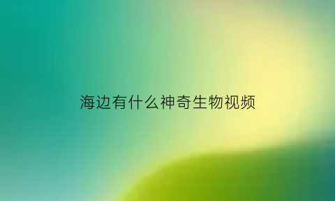 海边有什么神奇生物视频(海边生活的动物有哪些)