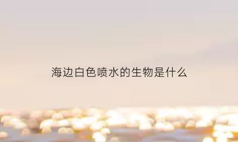 海边白色喷水的生物是什么(海边白色的虫子是什么)