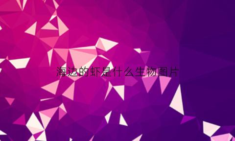海边的虾是什么生物图片(海边的虾是什么生物图片)