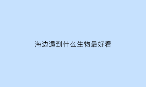 海边遇到什么生物最好看(海边生存的动物)