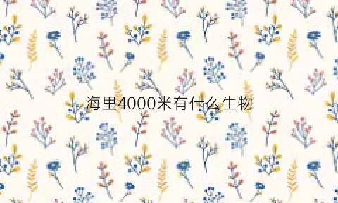 海里4000米有什么生物(4000海里有多远)