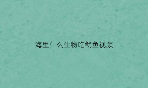 海里什么生物吃鱿鱼视频(海里吃鱼的动物)