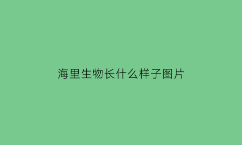 海里生物长什么样子图片(海里生物图片大全)