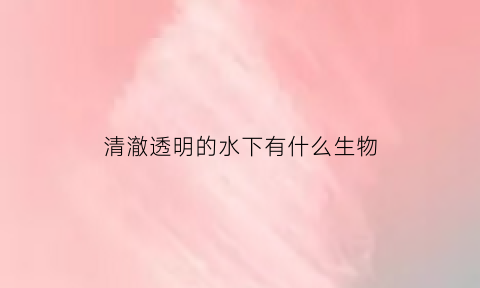 清澈透明的水下有什么生物