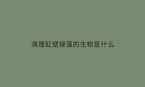 清理缸壁绿藻的生物是什么(清理缸壁水藻)