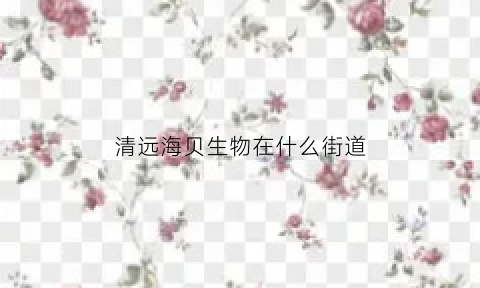 清远海贝生物在什么街道(清远海贝生物公司产品)