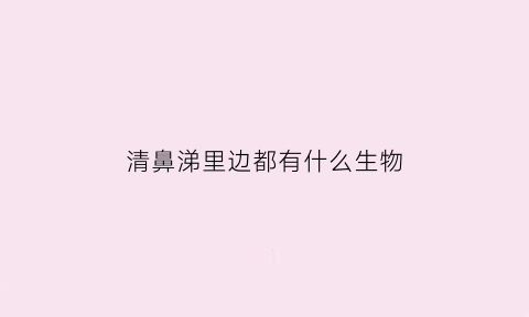 清鼻涕里边都有什么生物(清鼻涕里夹白色絮状物)