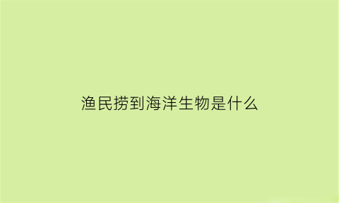 渔民捞到海洋生物是什么(渔民捞到了什么)